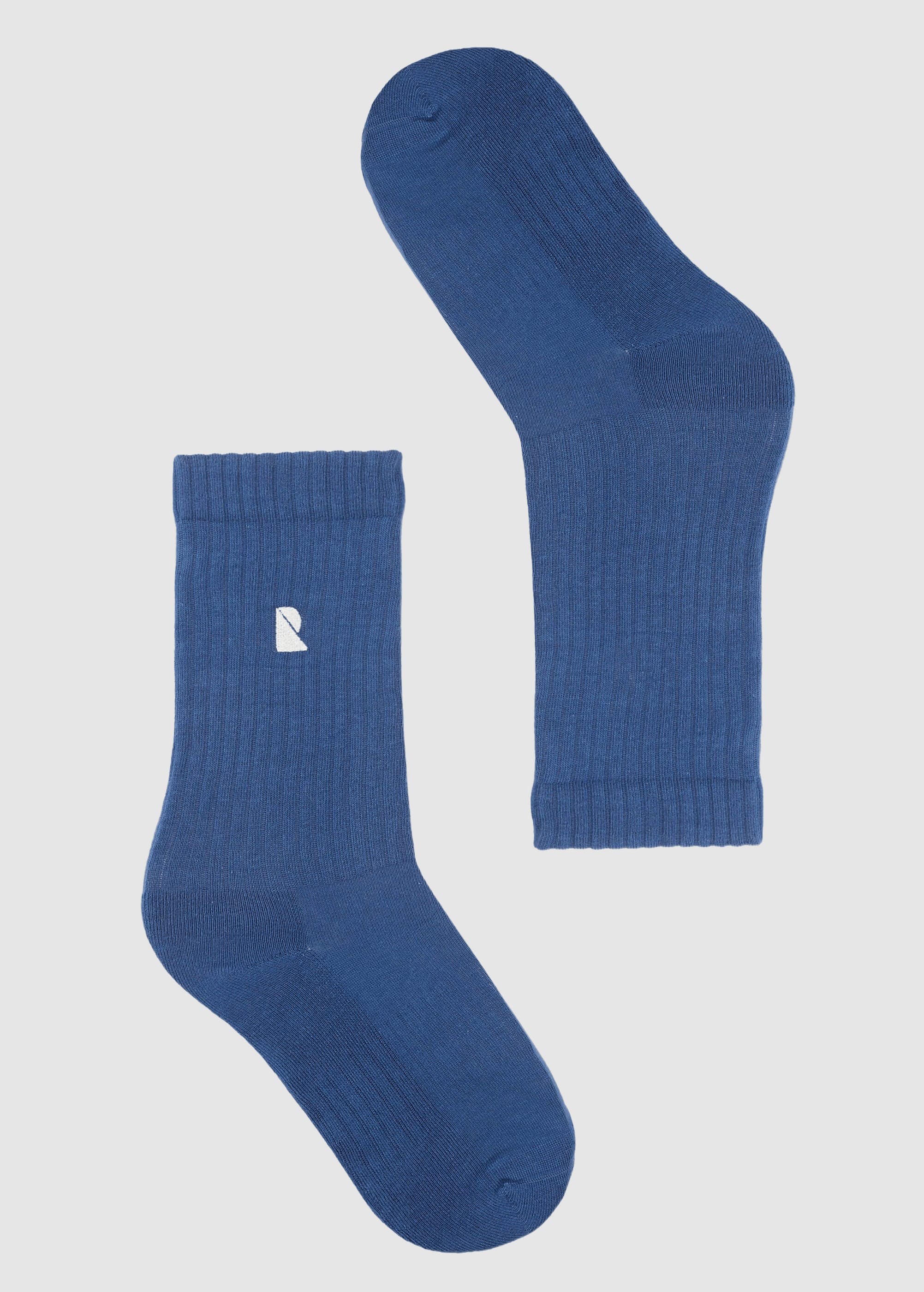 recolution-bergenia-logo-blue-1.jpeg Bergenia Logo Blue