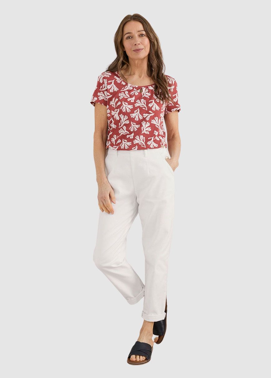 Appletree Top Appletree Top