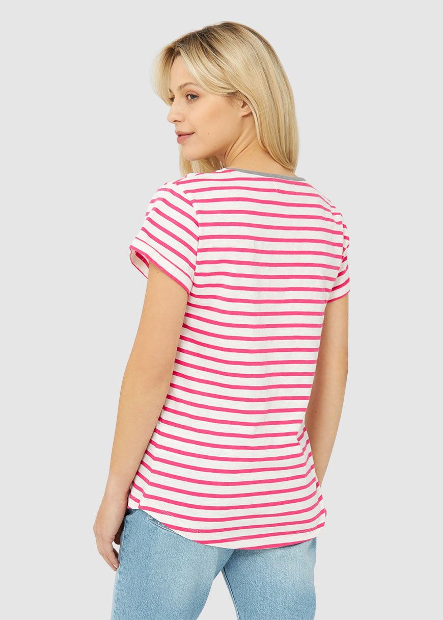 Robbenschnute Striped Robbenschnute Striped
