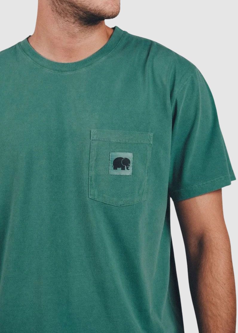 trendsplant_garza_pigment_dyed_t_shirt_SS_25_TP_239960_MGPF_Foliage_Green_3_8a07eb7b17 Garza Pigment Dyed T-Shirt
