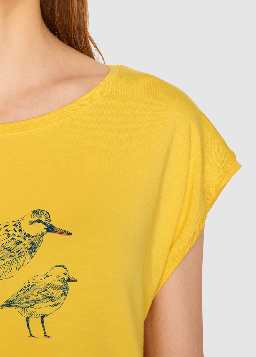 Animal Bird Friends Animal Bird Friends