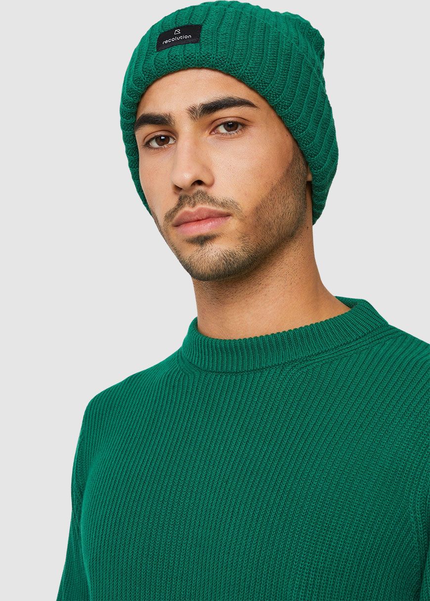 Beanie Pothos Beanie Pothos