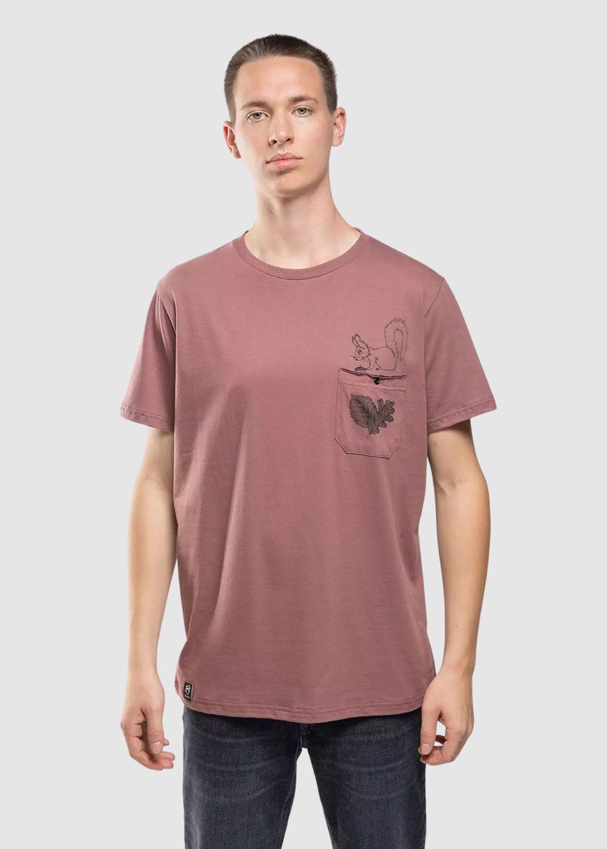 Basic Eichhörnchen BT Basic Eichhörnchen BT