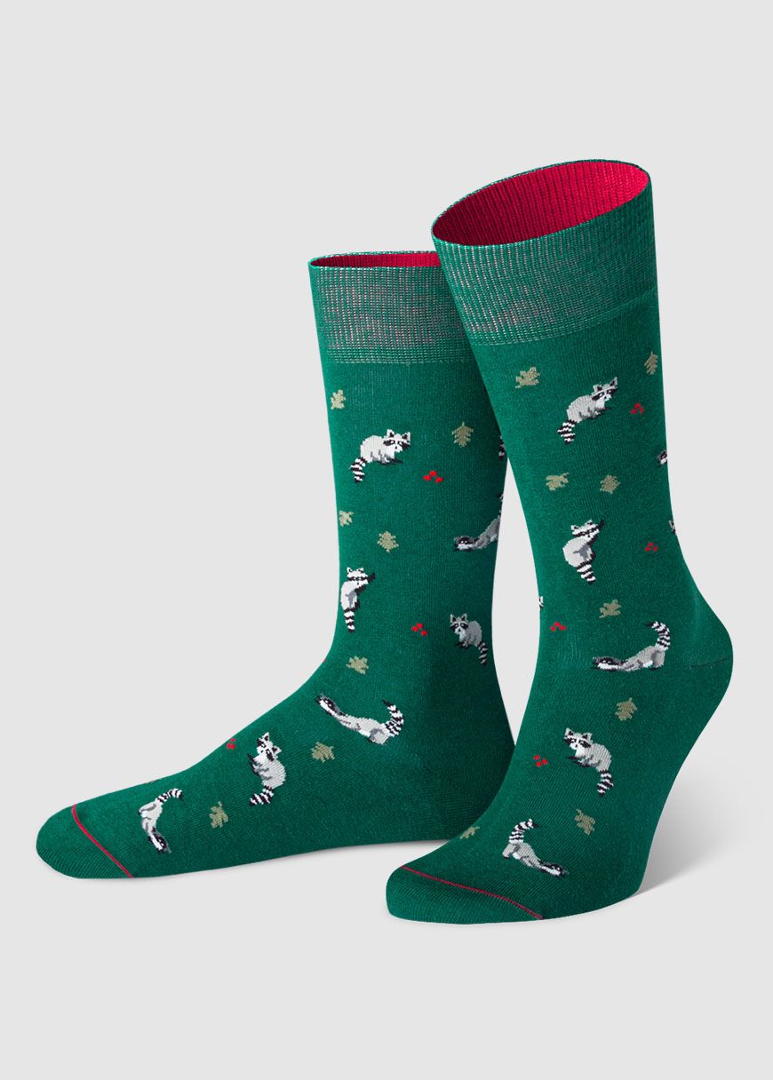 Waschbär Waschbär
