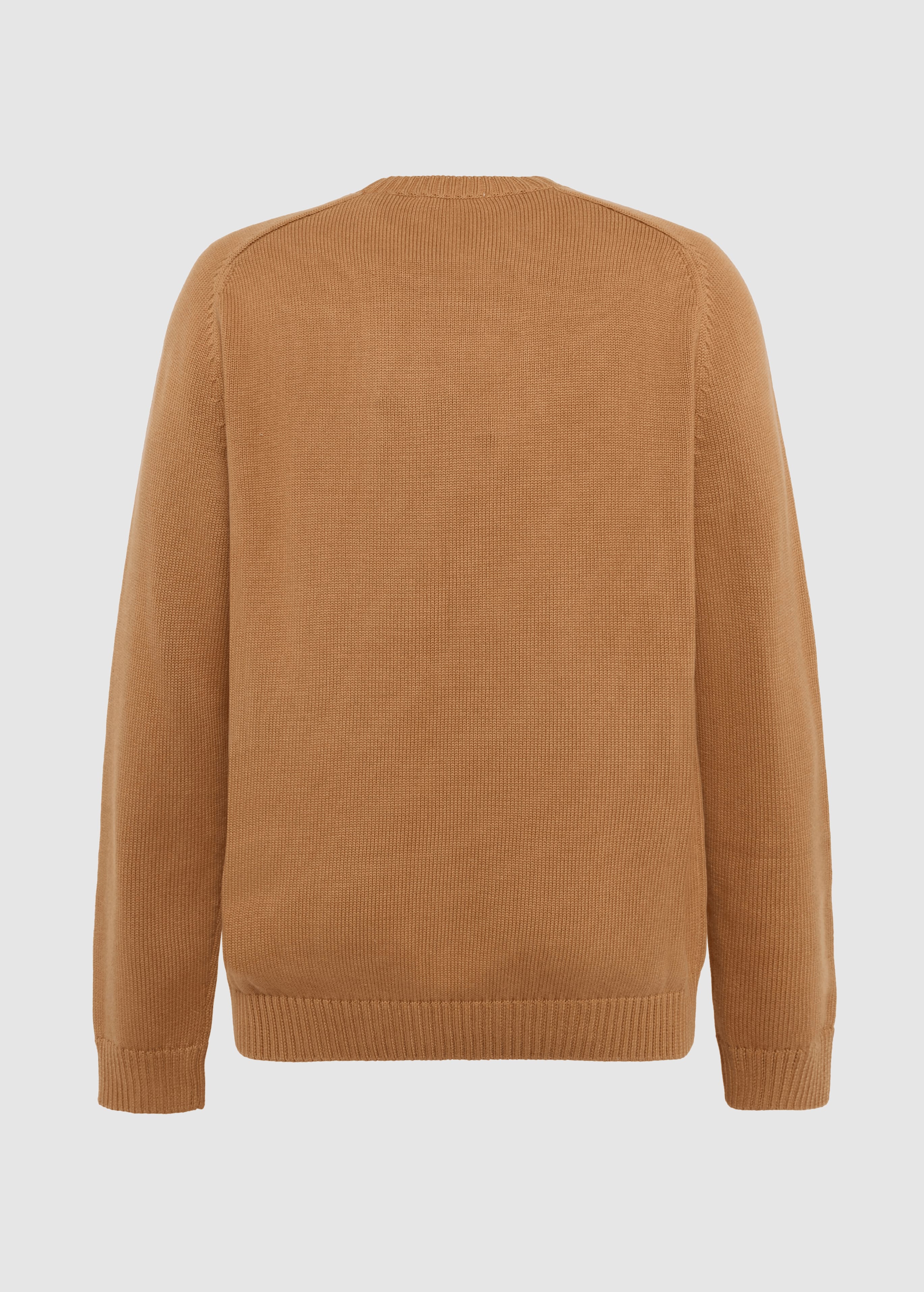 Crew Neck Sweater Lion