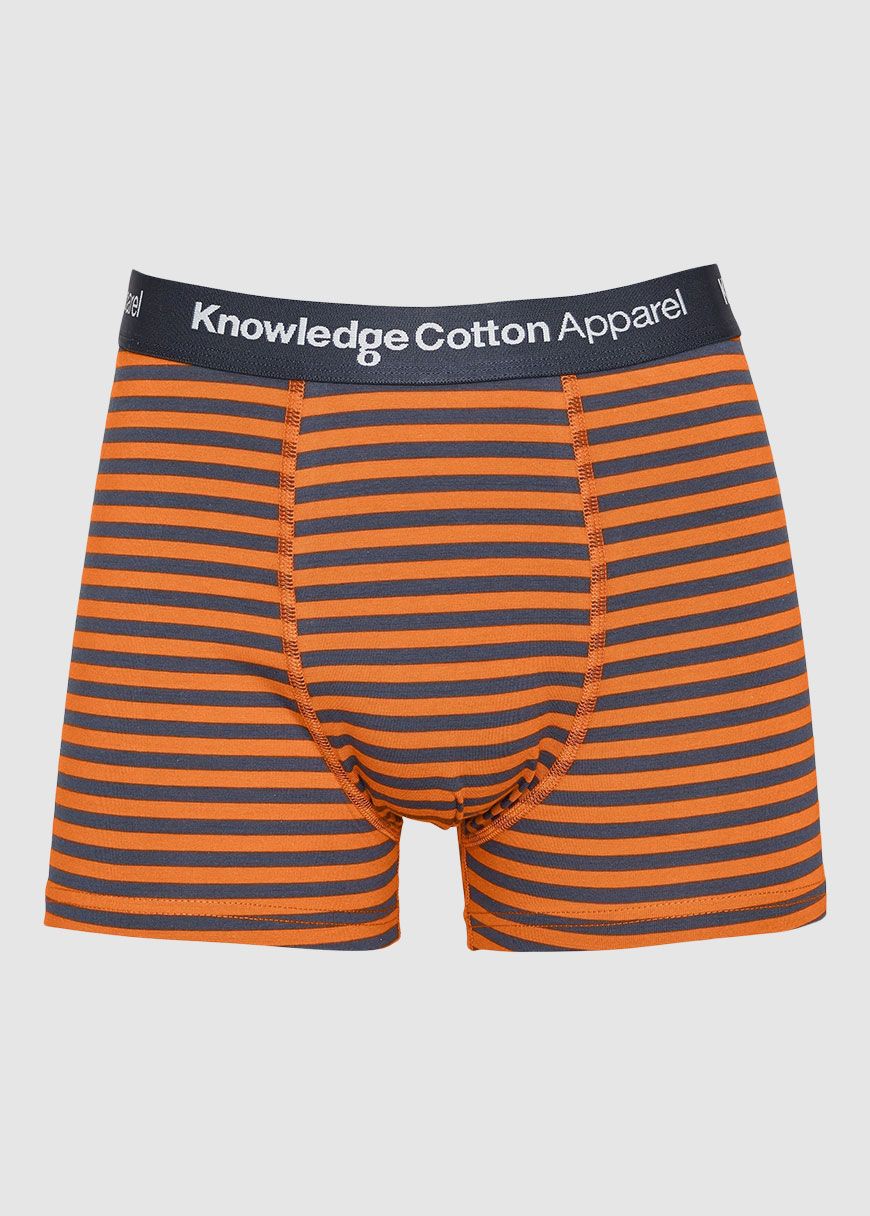 2 Pack Striped Underwear