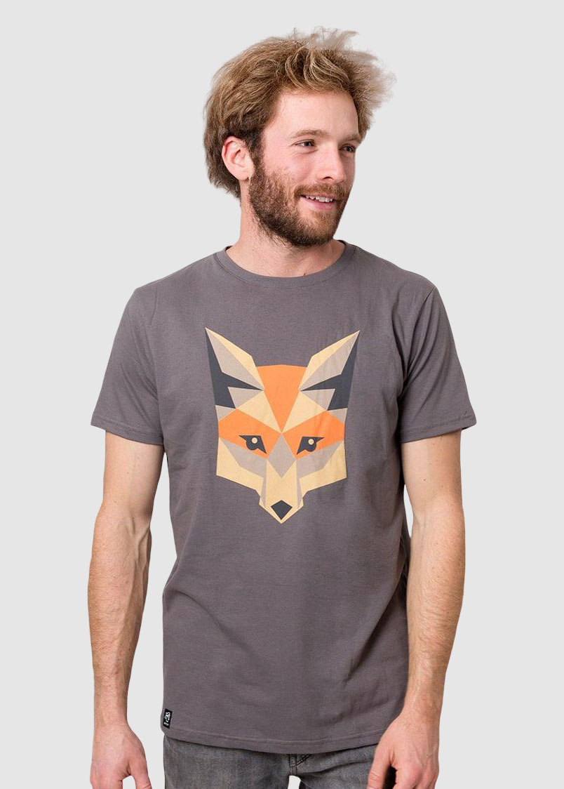 Basic Fox