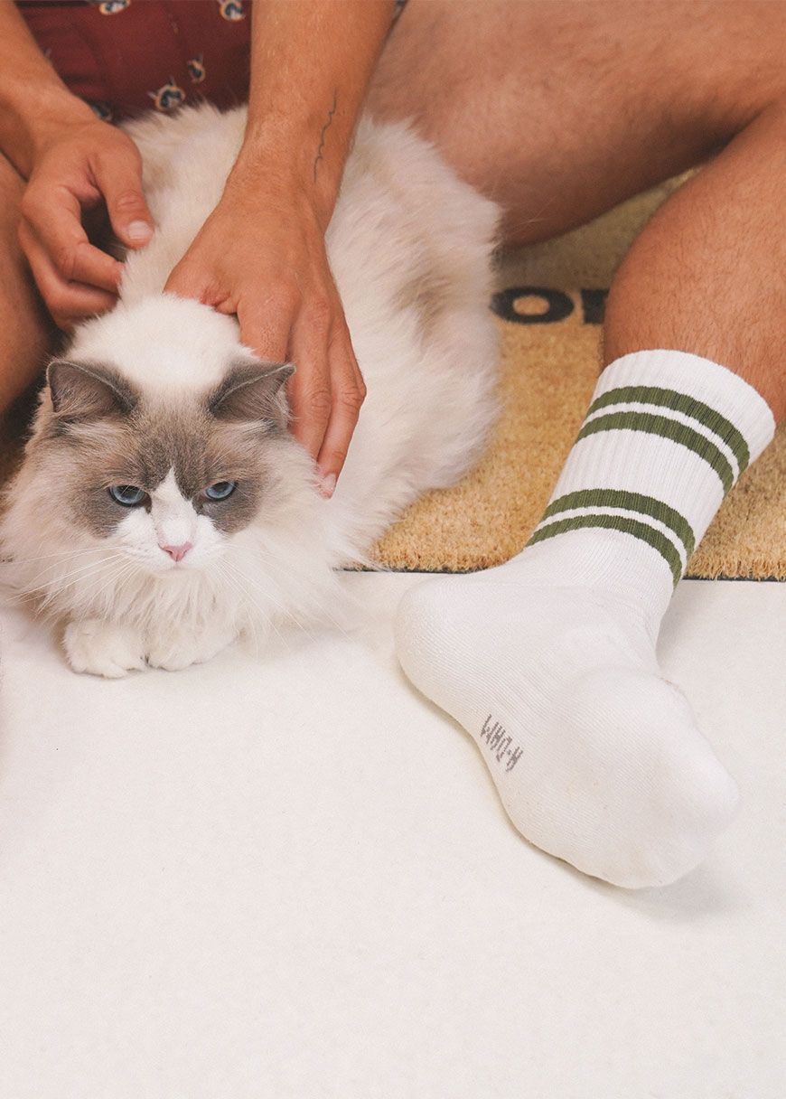 Socks Stripes Socks Stripes