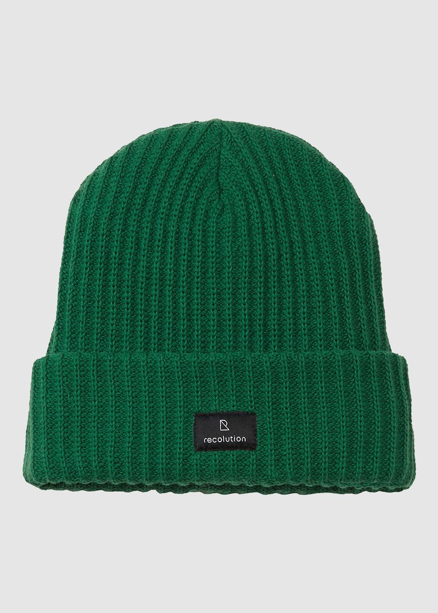 Beanie Pothos Beanie Pothos